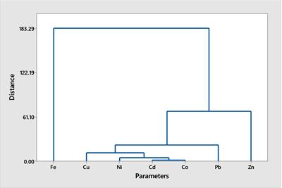 Source and health risks of trace metals in Clarias batrachus and Chrysichthys nigrodigitatus from surface waters in Bayelsa State, Nigeria: a probabilistic model